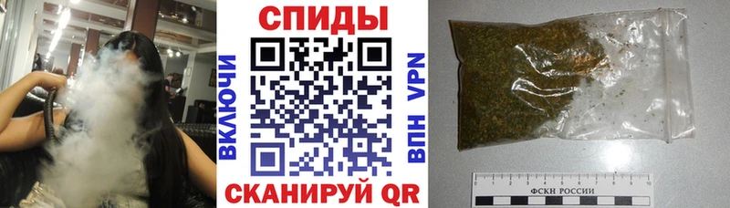 Купить где  Бородино  Бутират буратино 