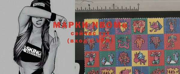 стафф Алексин