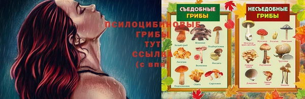 стафф Алексин