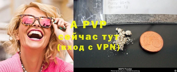 стафф Алексин
