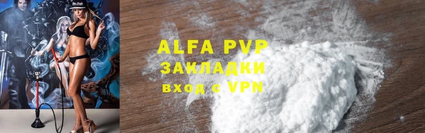 стафф Алексин