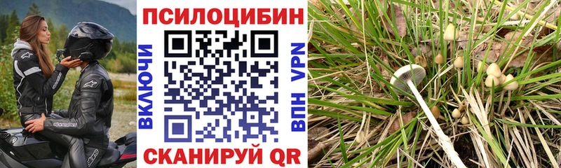 Галлюциногенные грибы ЛСД  Купить где  Бородино 